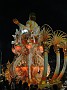 carnaval 14